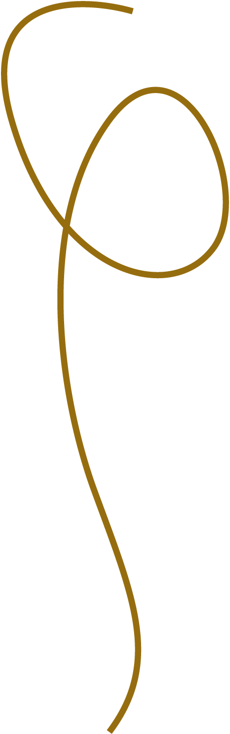 Stringed Musical Instruments